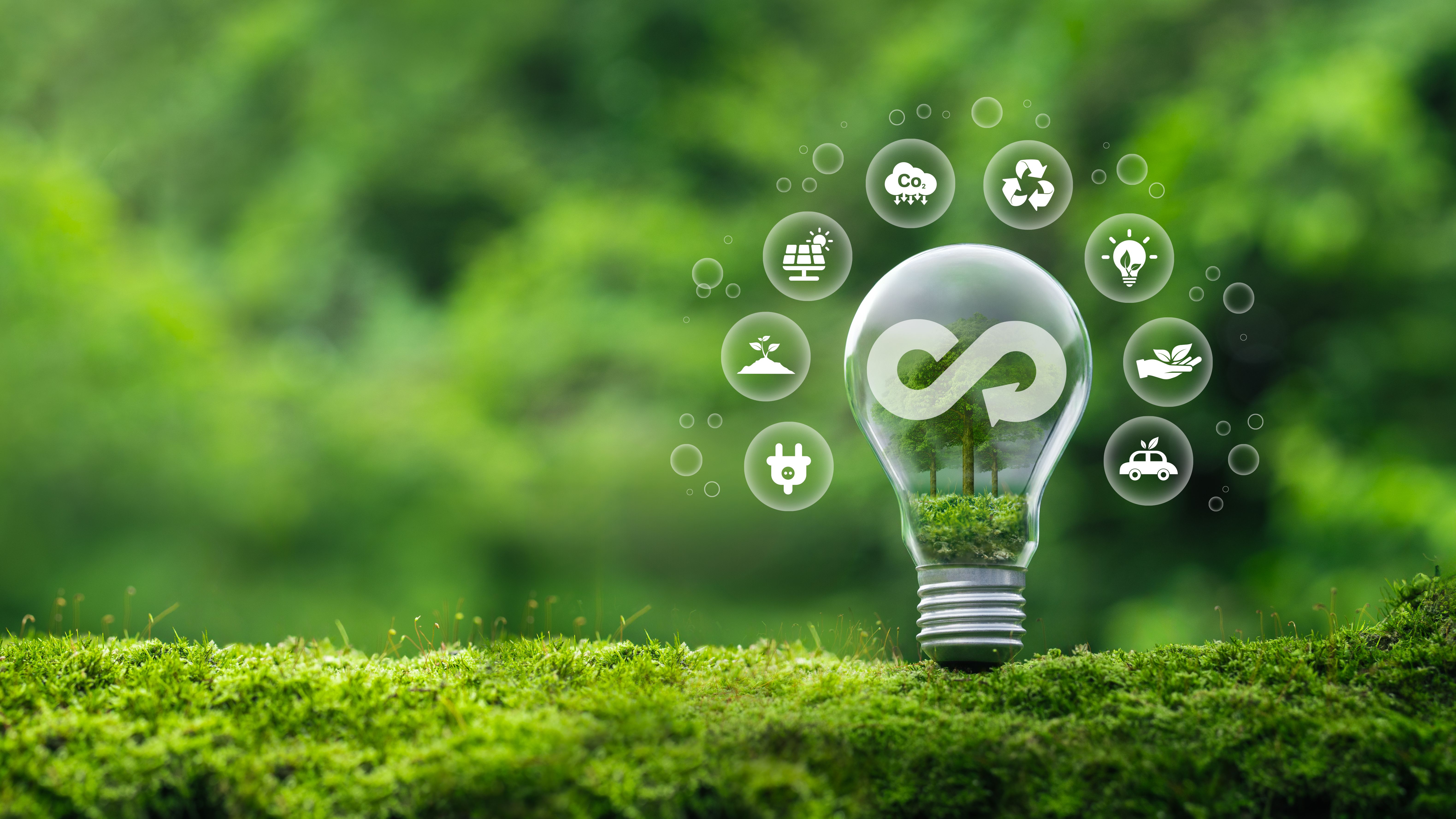renewable energy challenges