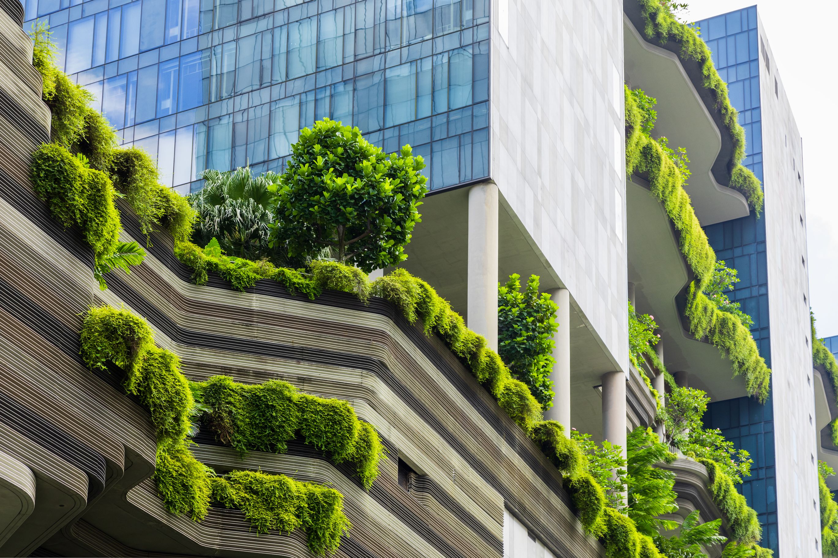 sustainable architecture