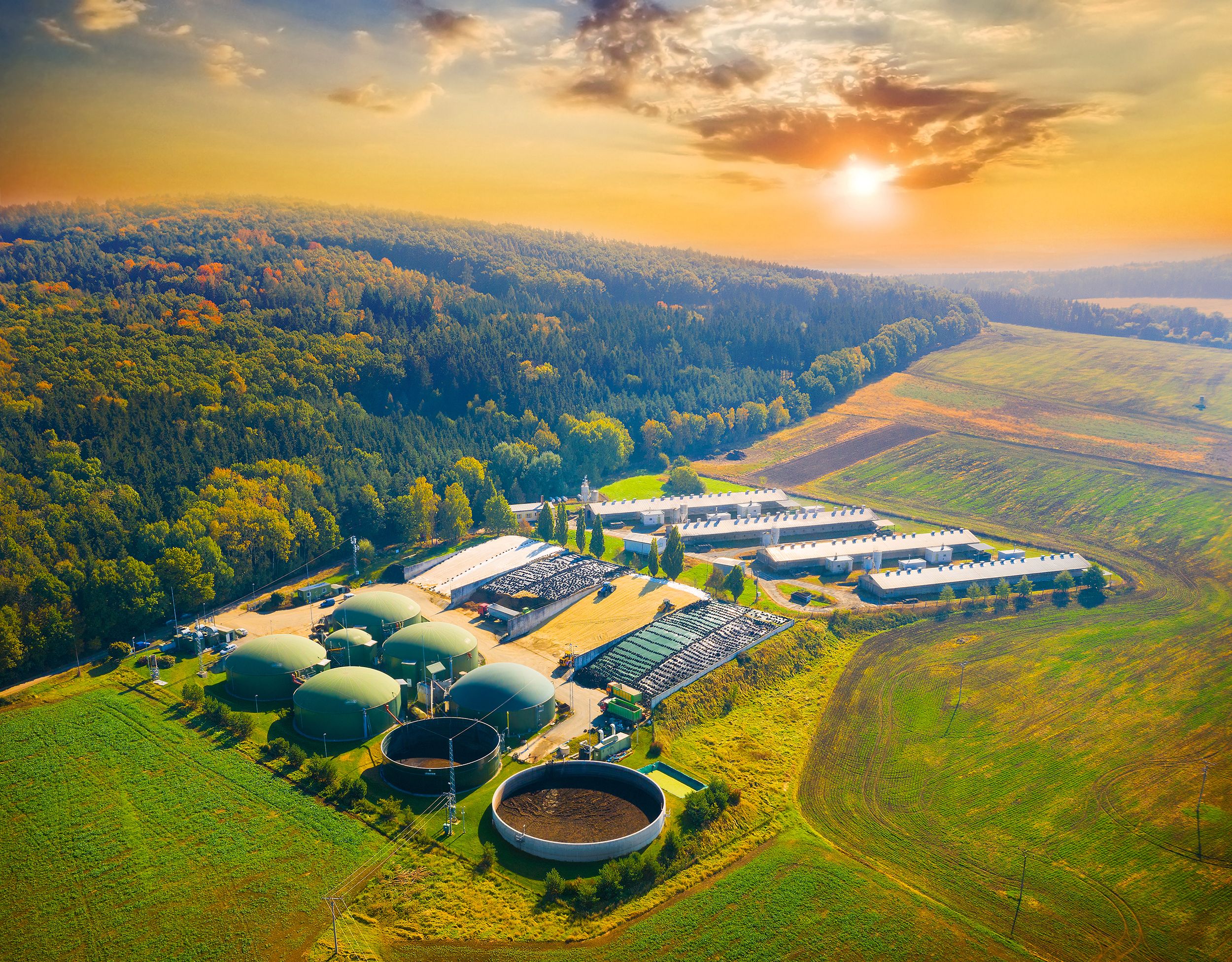 bioenergy plant