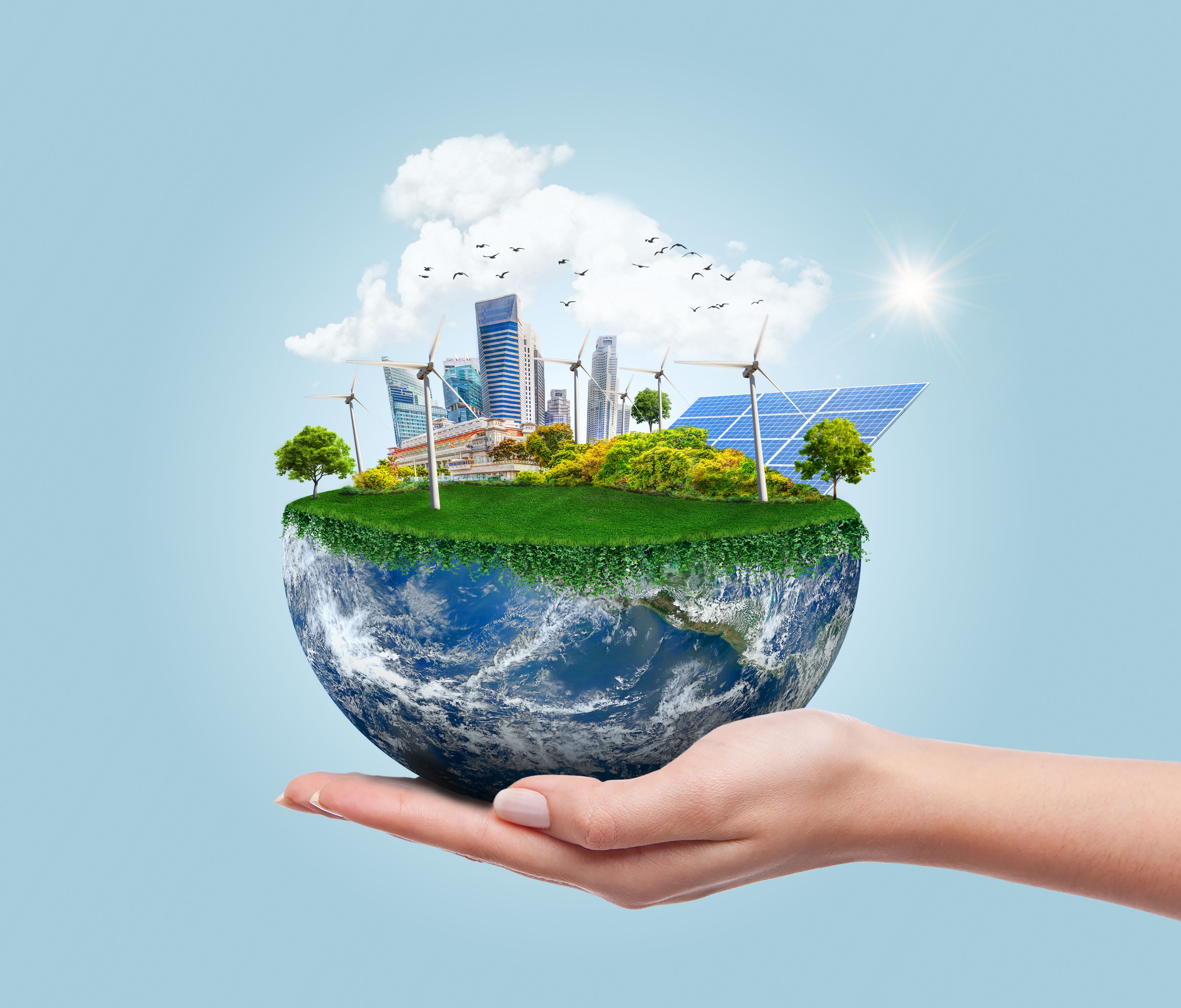 renewable energy