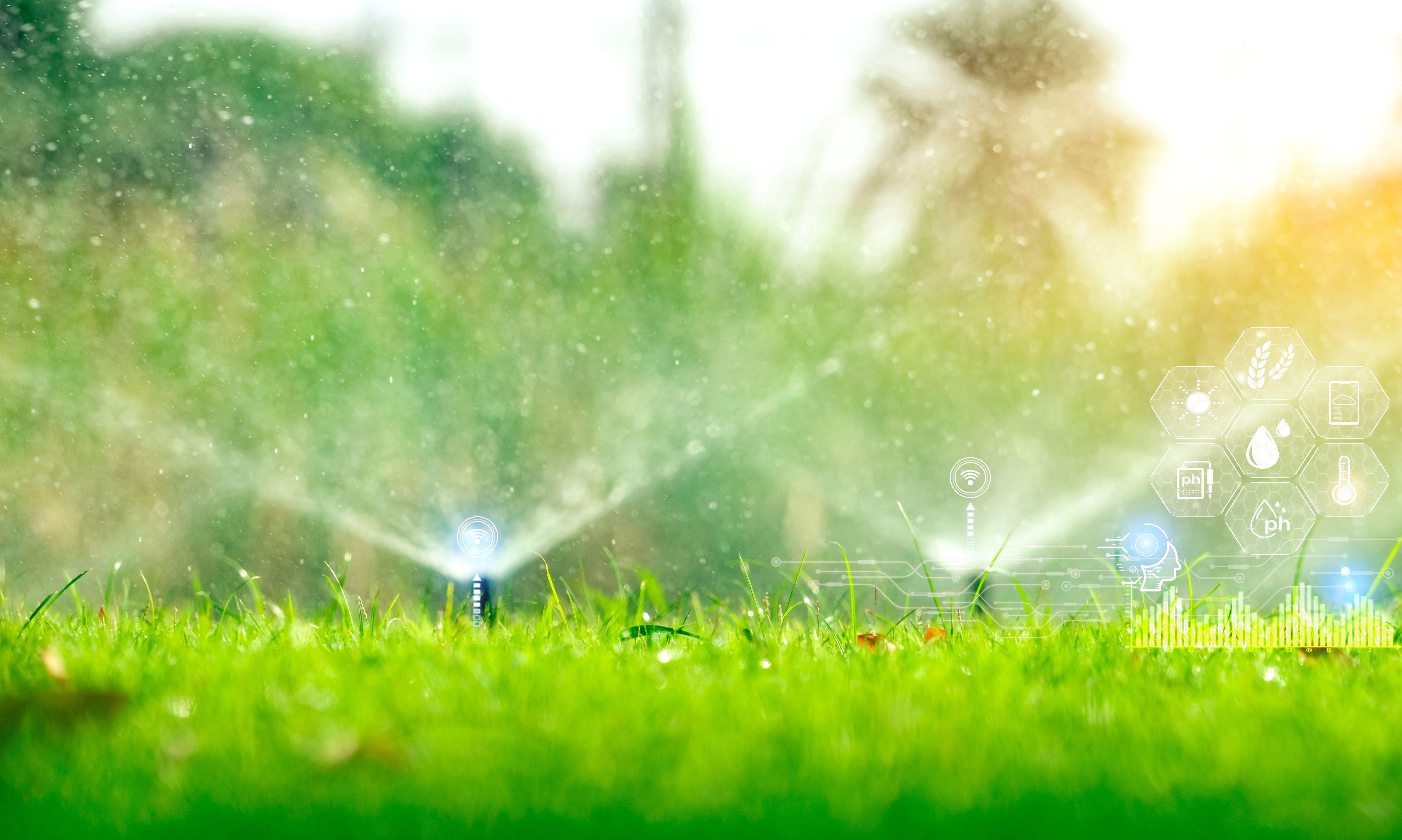 smart water management